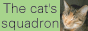 The cat`s squadron